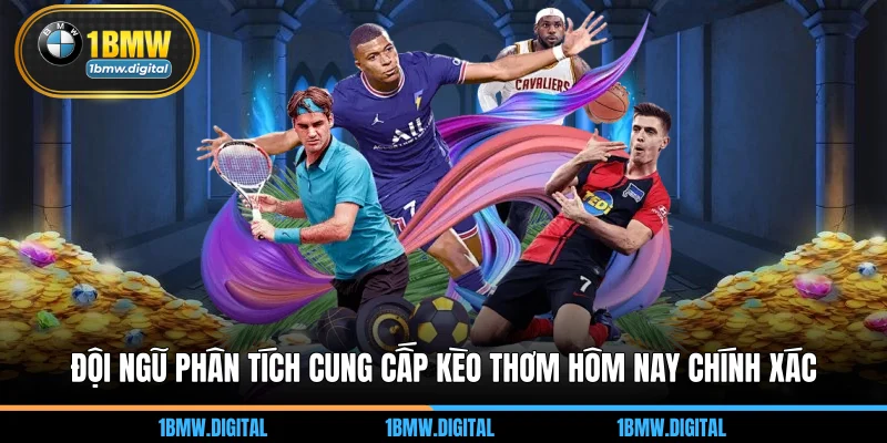 Đội ngũ phân tích cung cấp kèo thơm hôm nay chính xác