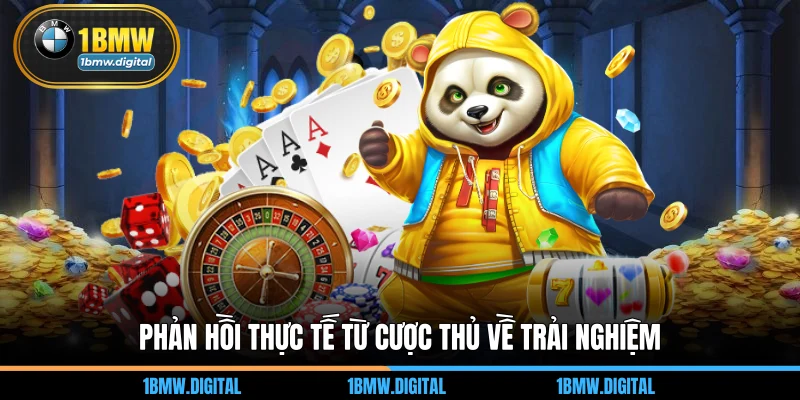 Phản hồi thực tế từ cược thủ về trải nghiệm